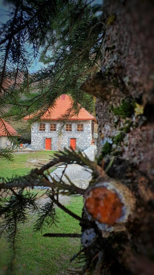 Apartment Old House Подгорица Экстерьер фото